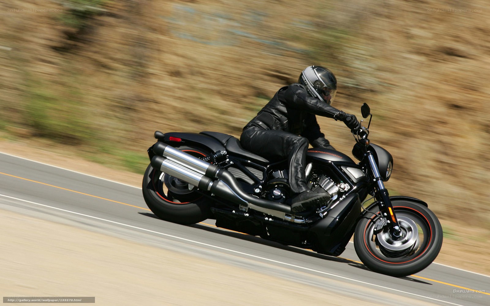Motorcyclist on a road