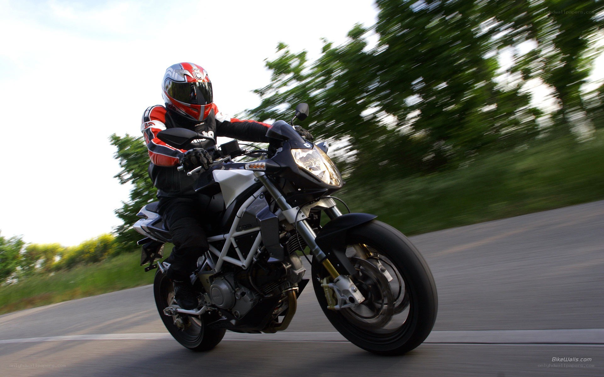 motorcyclist on a road