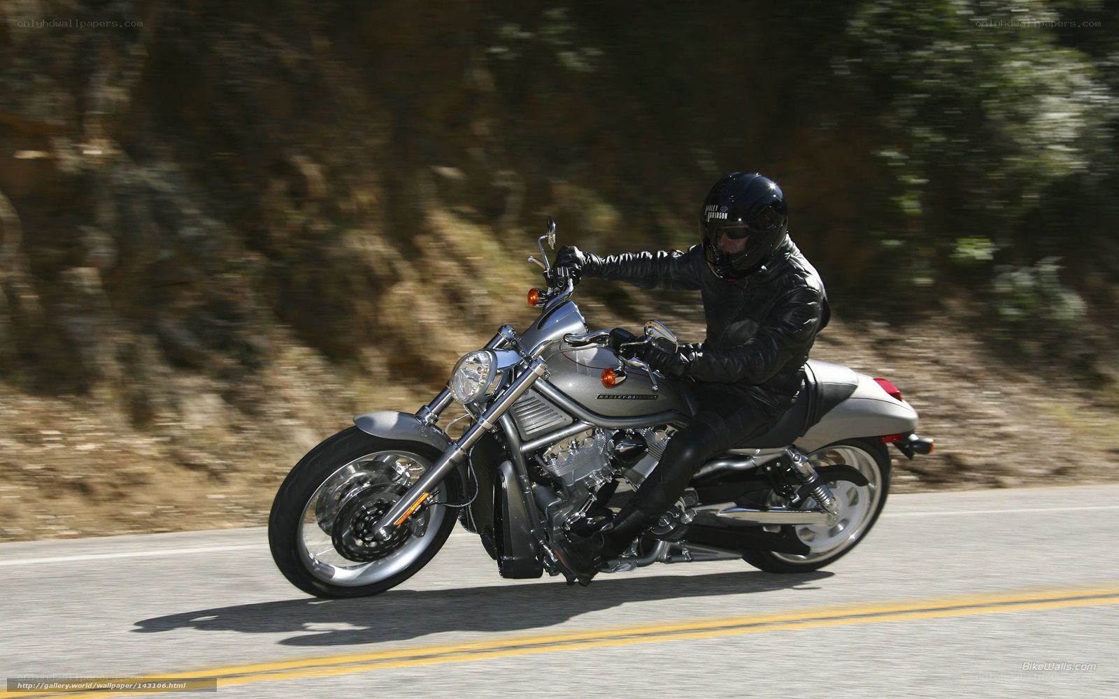 motorcyclist on a road
