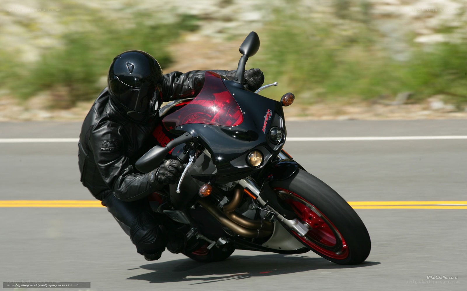 motorcyclist on a road
