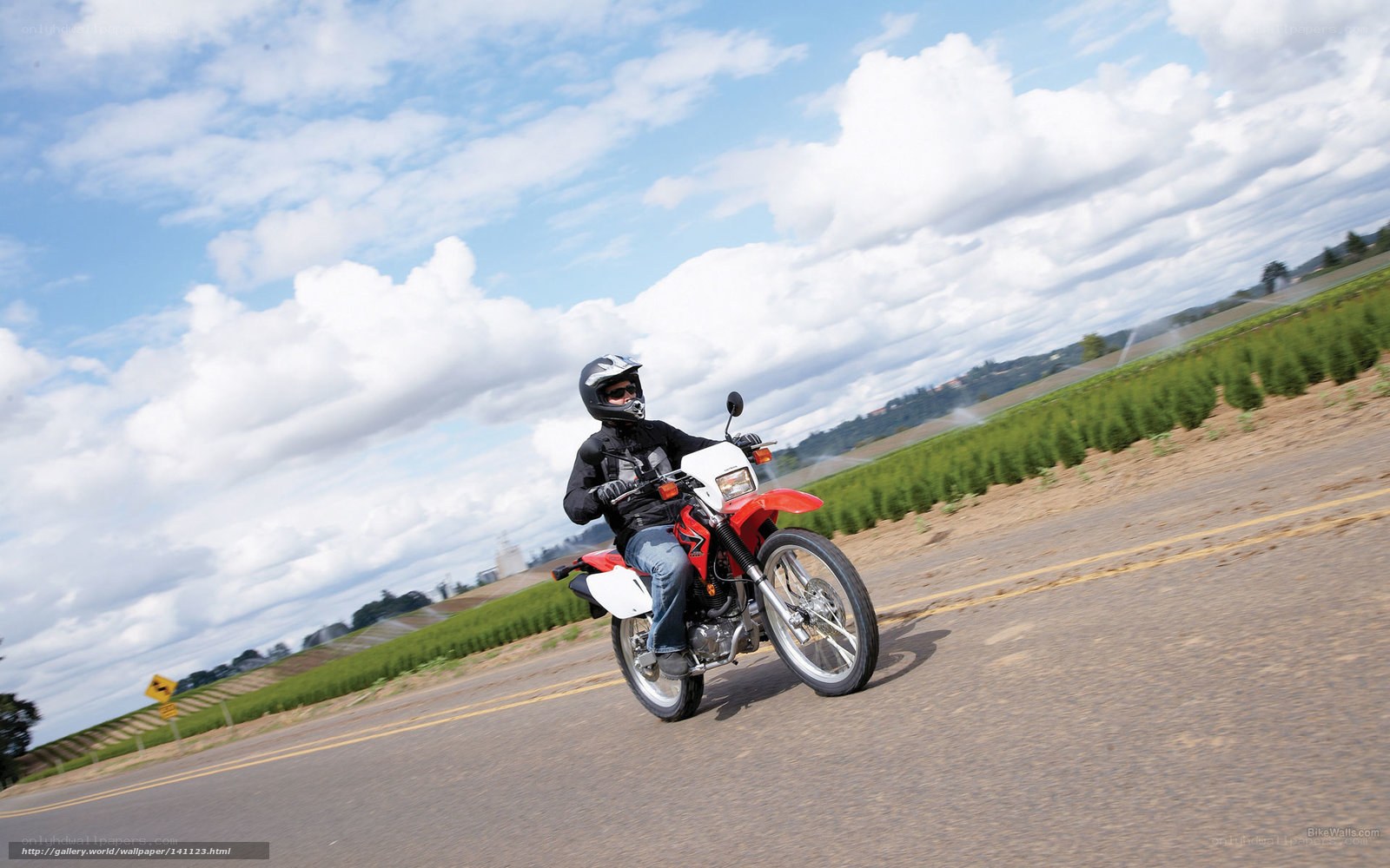 Motorcyclist on a rural road