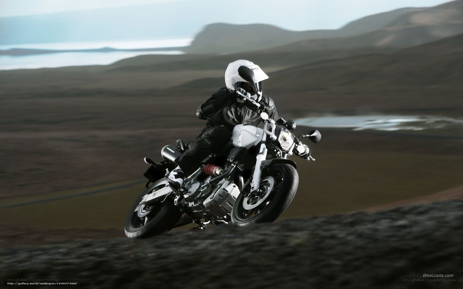 Motorcyclist on a scenic road