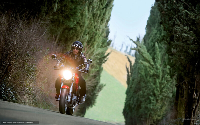 Motorcyclist on a tree-lined road