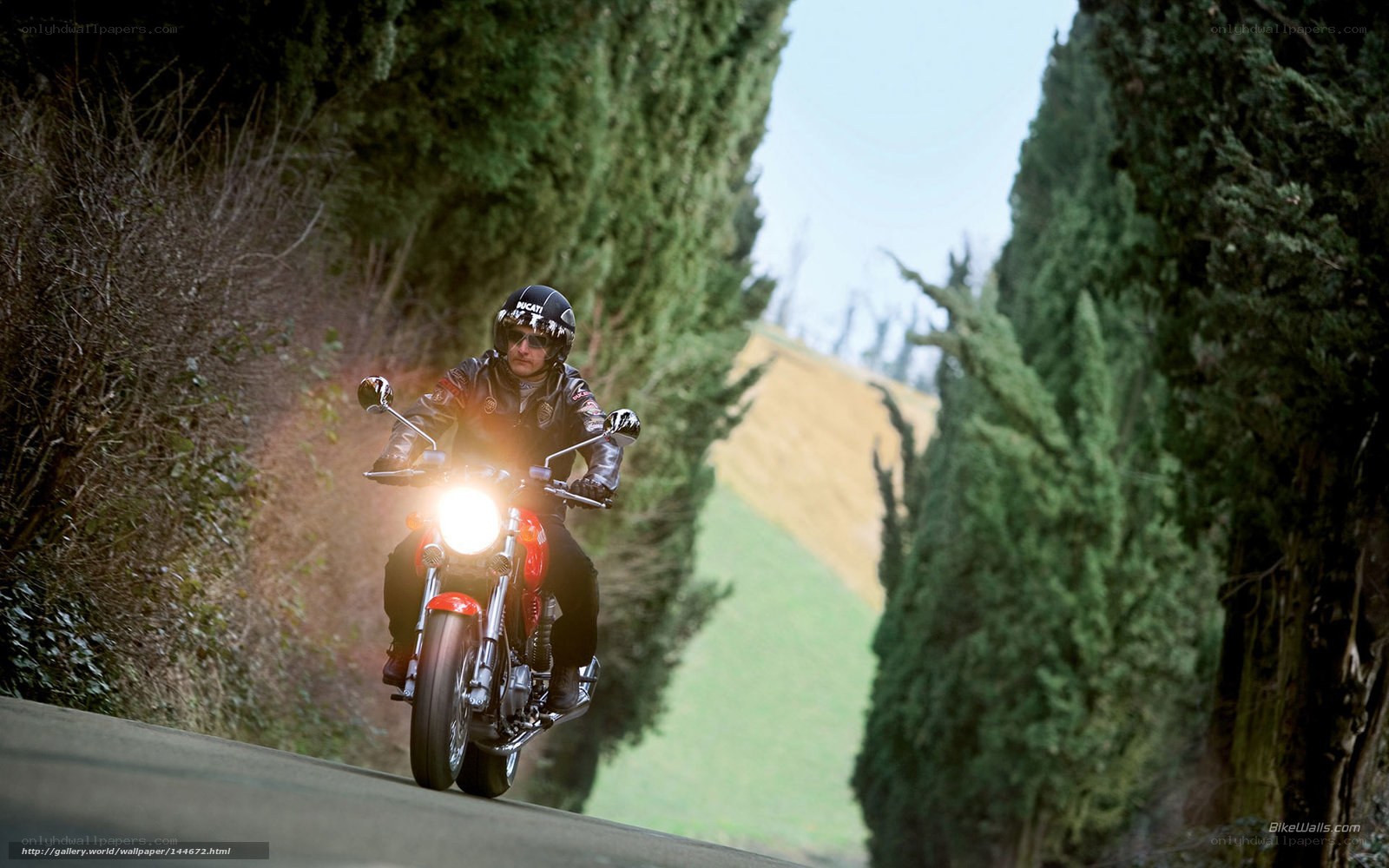 Motorcyclist on a tree-lined road