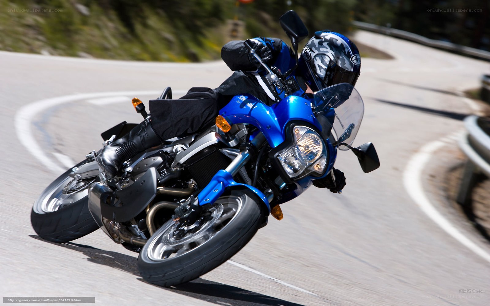 Motorcyclist on a winding road