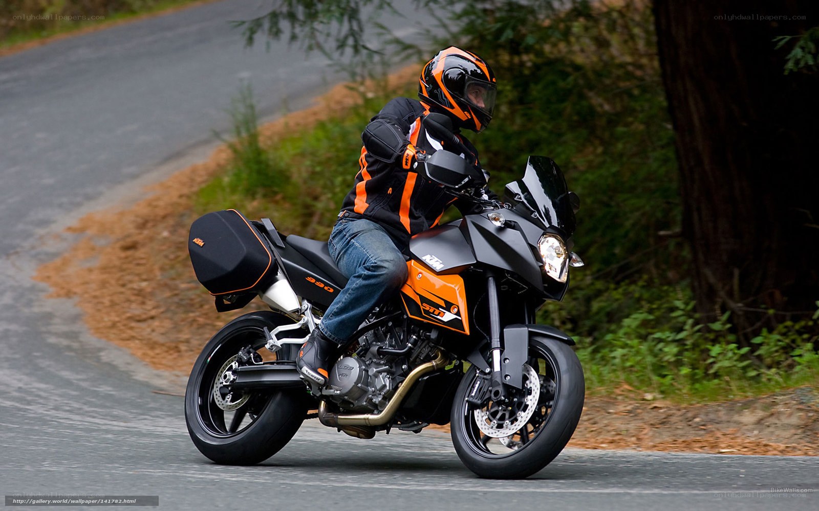 Motorcyclist on a winding road