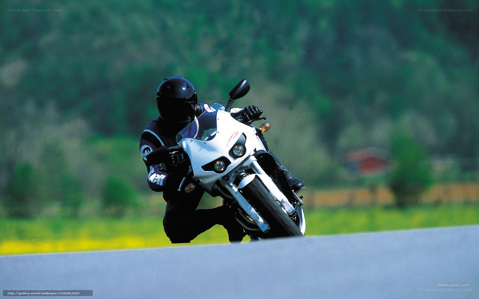 Motorcyclist on a winding road