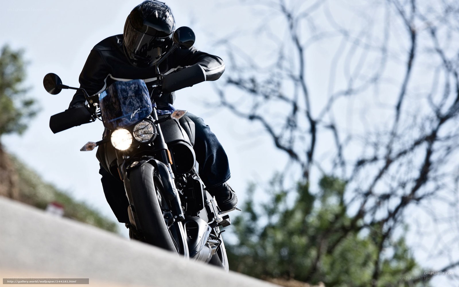 motorcyclist on a winding road