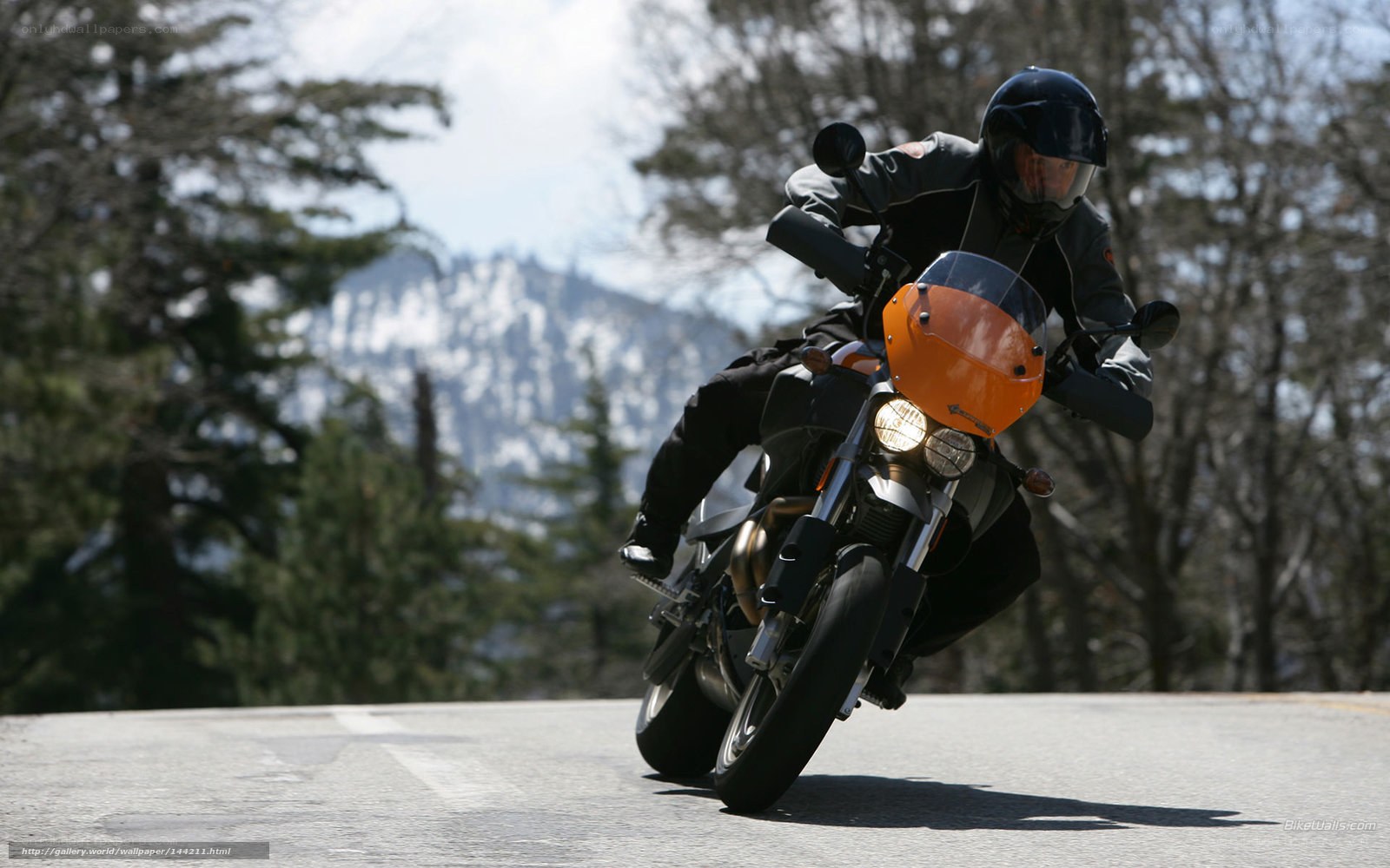 Motorcyclist on a winding road