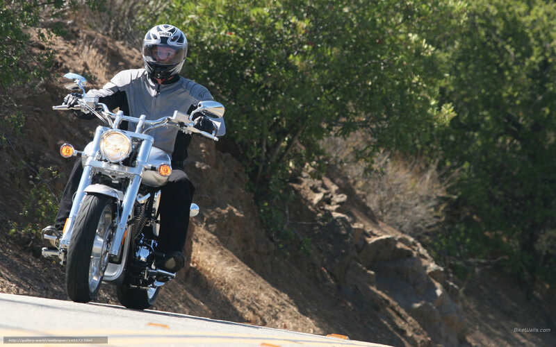 Motorcyclist on a winding road