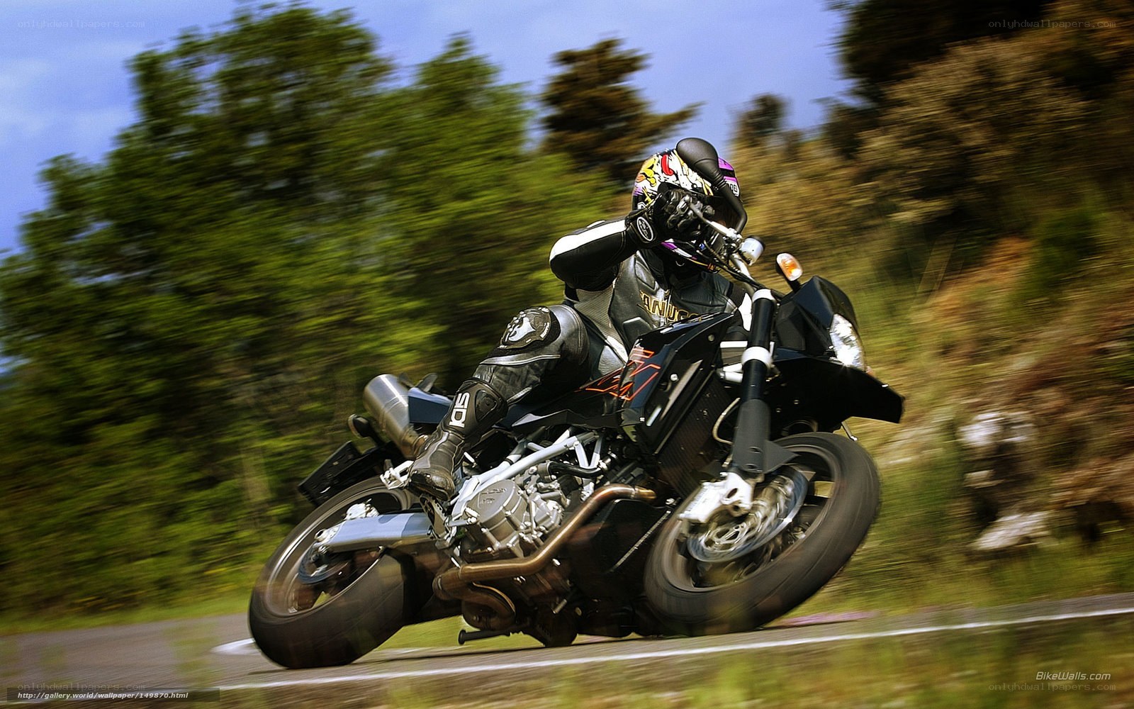 motorcyclist on a winding road