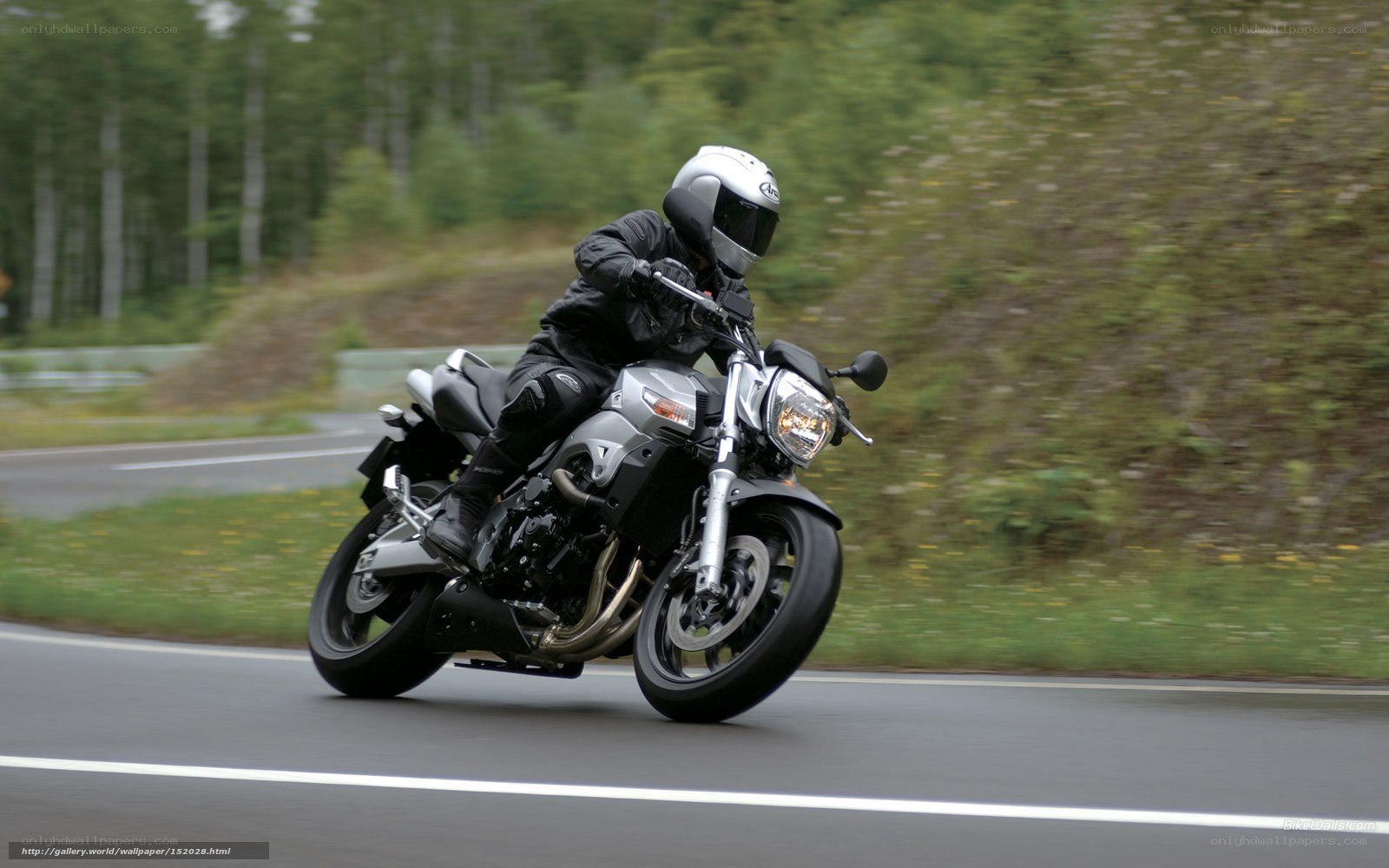 motorcyclist on a winding road