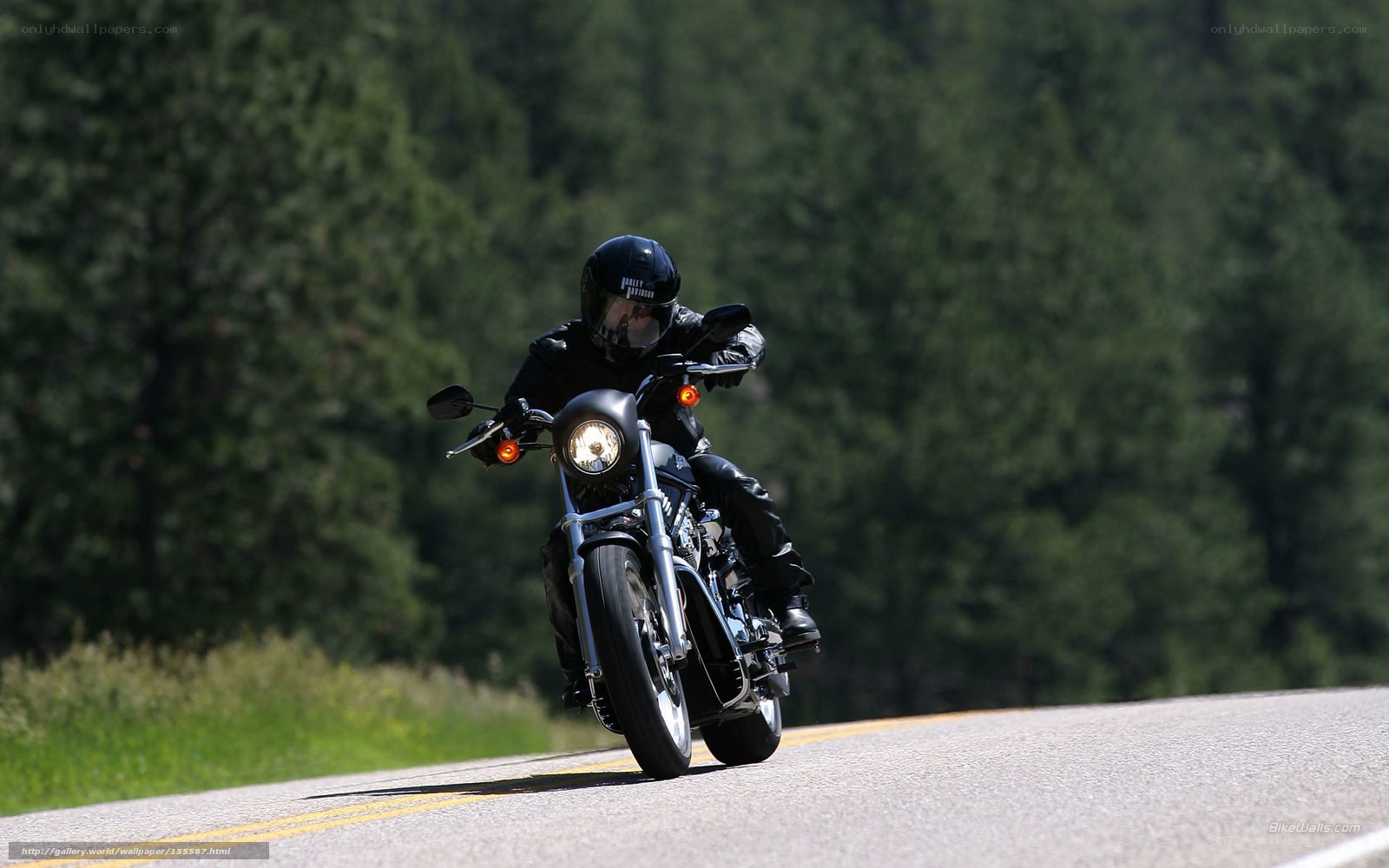 Motorcyclist on a winding road