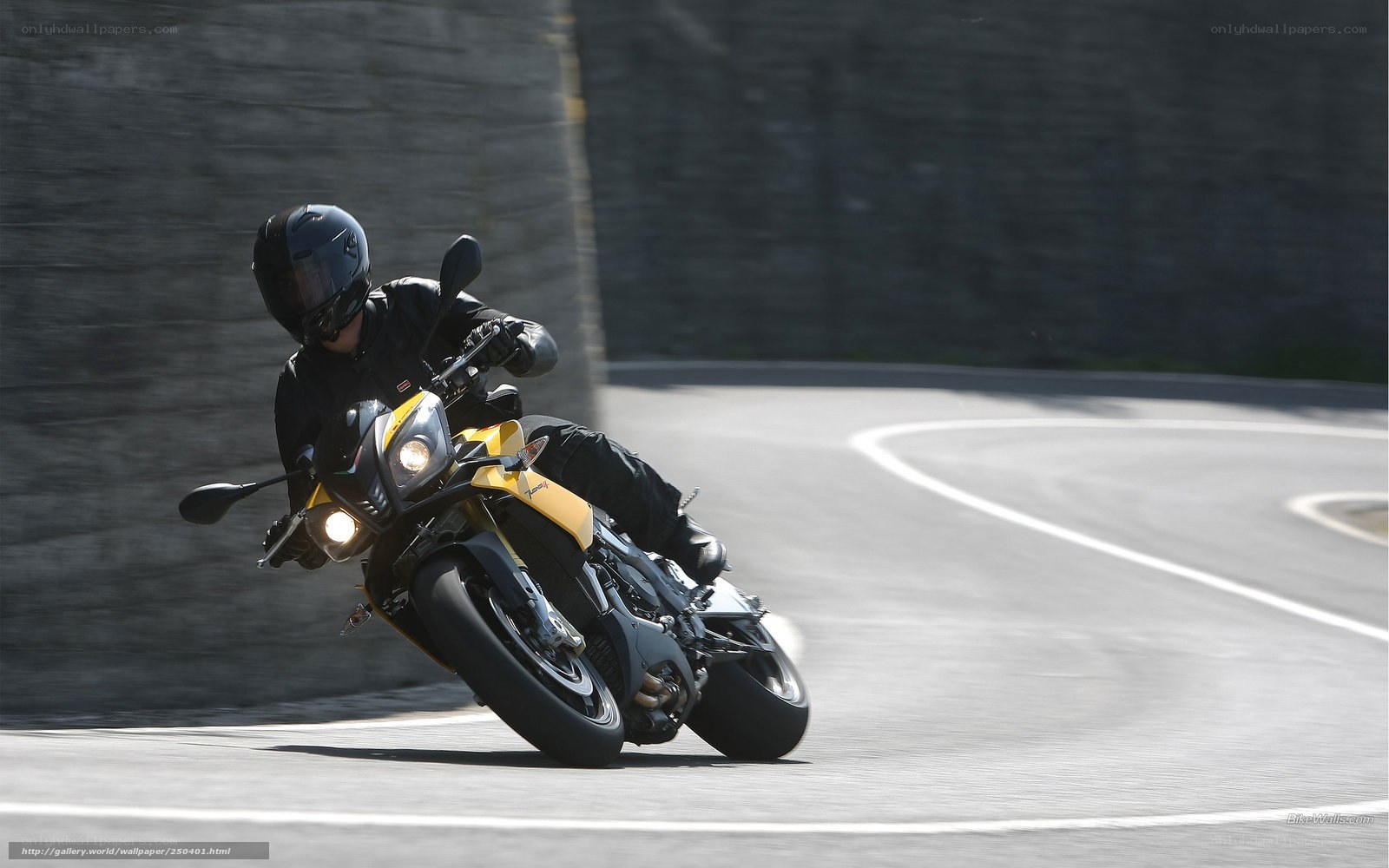 Motorcyclist on a winding road