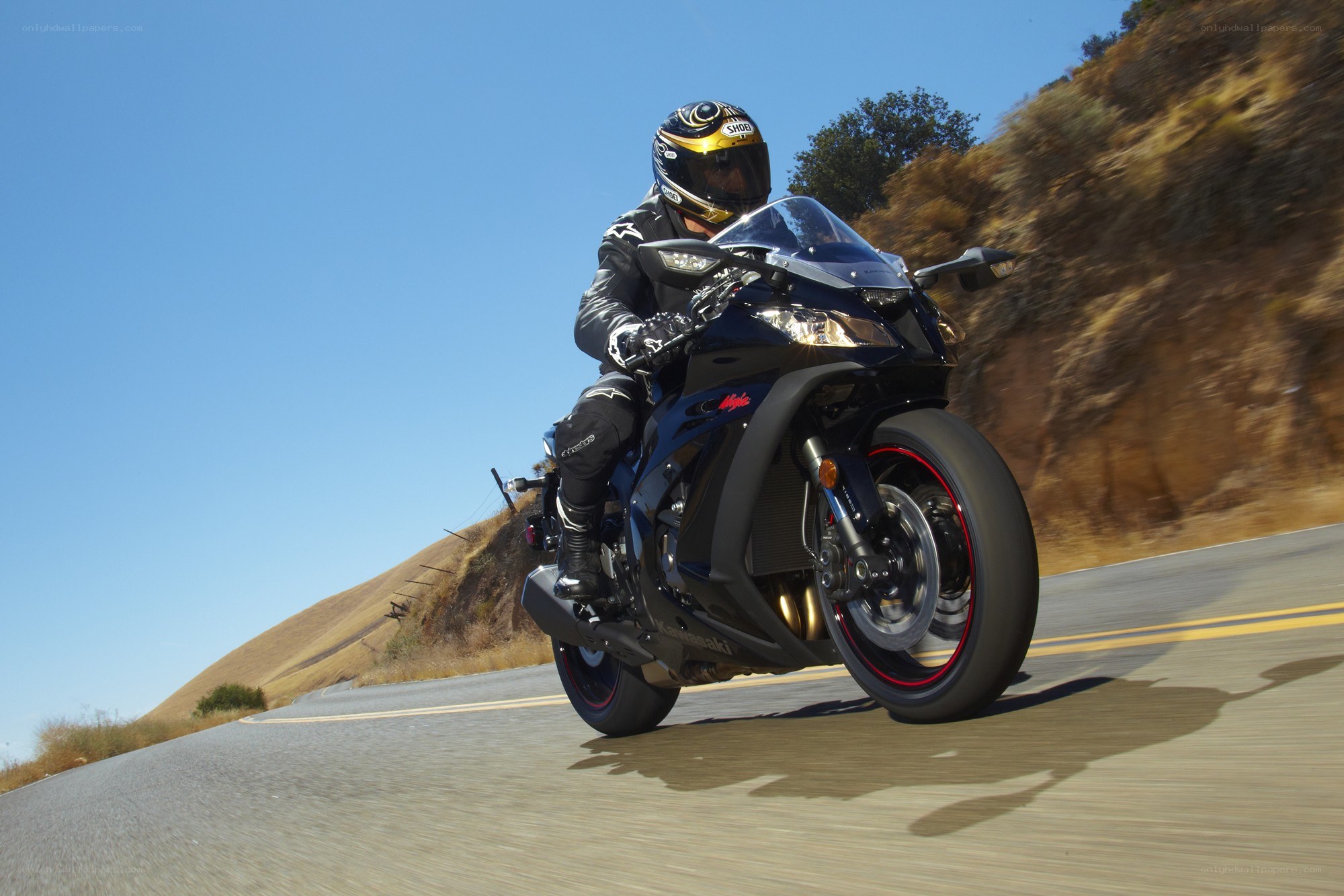Motorcyclist on a winding road