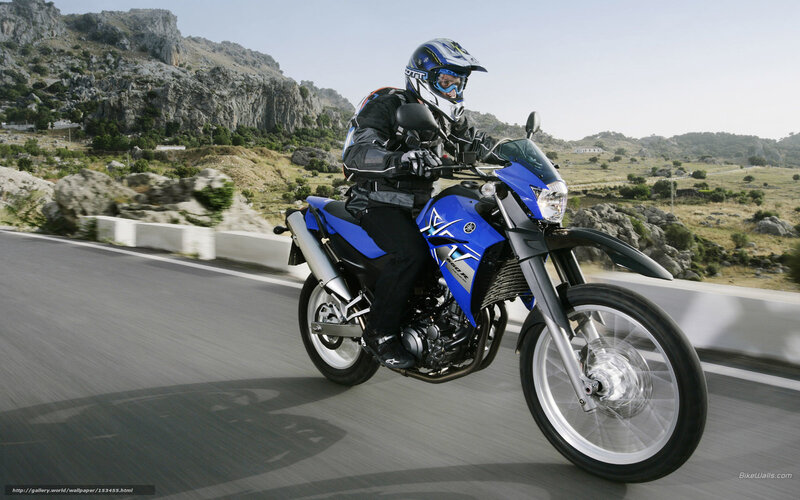 Motorcyclist on Blue Bike — Active