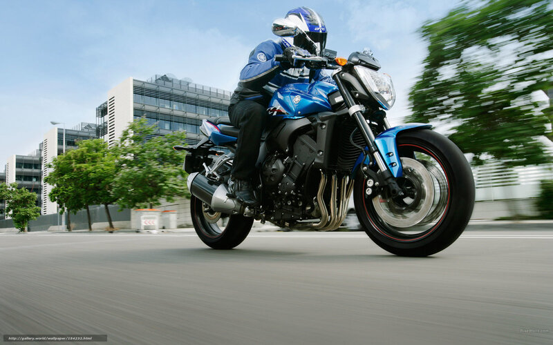 Motorcyclist on Blue Bike — Dynamic, Afternoon, Photograph, Building
