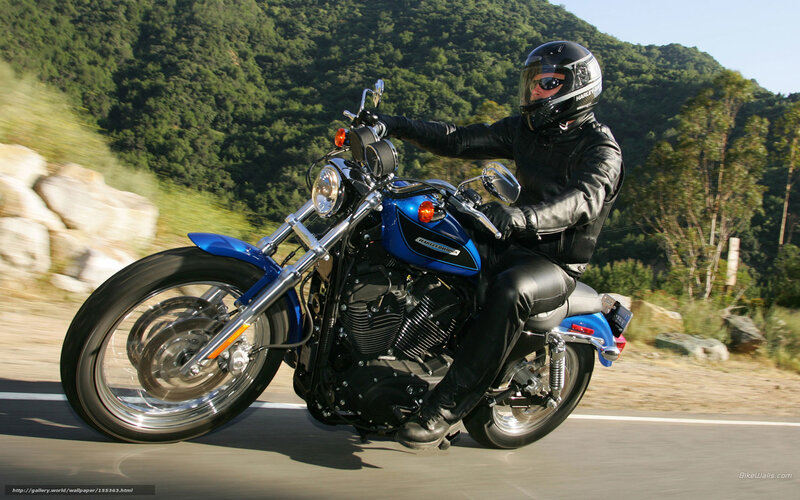 Motorcyclist on Blue Bike — Dynamic, Afternoon, Photograph, Helmet, Leather Jacket, Mountain