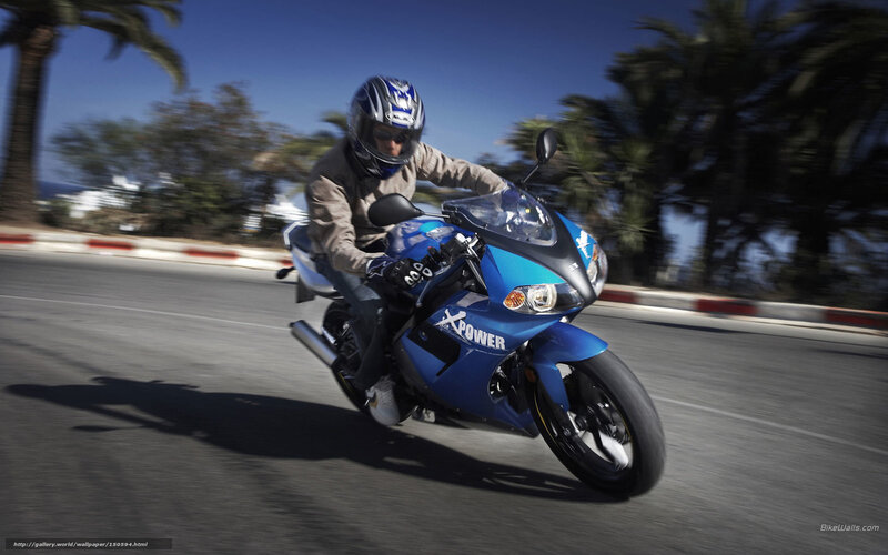 Motorcyclist on Blue Bike — Dynamic, Afternoon, Photograph, Palm Trees