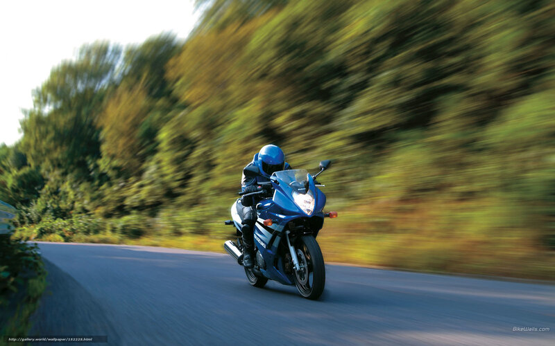 Motorcyclist on Blue Bike — Dynamic, Afternoon, Photograph, Road, Trees
