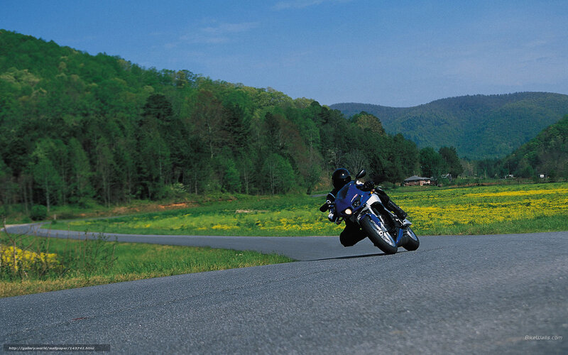 Motorcyclist on Blue Bike — Serene