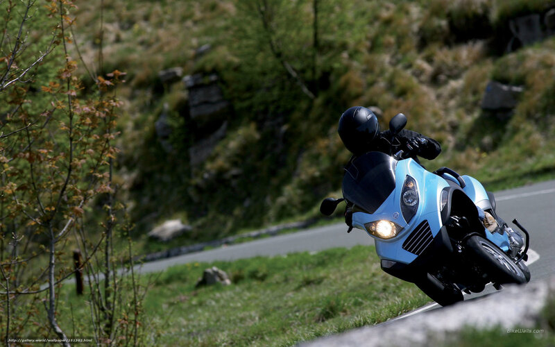 Motorcyclist on Blue Motorcycle — Dynamic, Afternoon