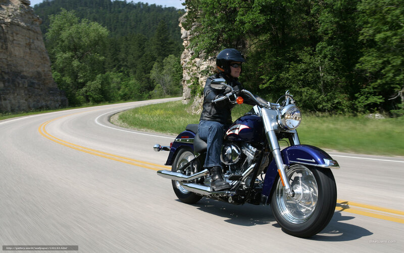 Motorcyclist on Blue Motorcycle — Outdoorsy