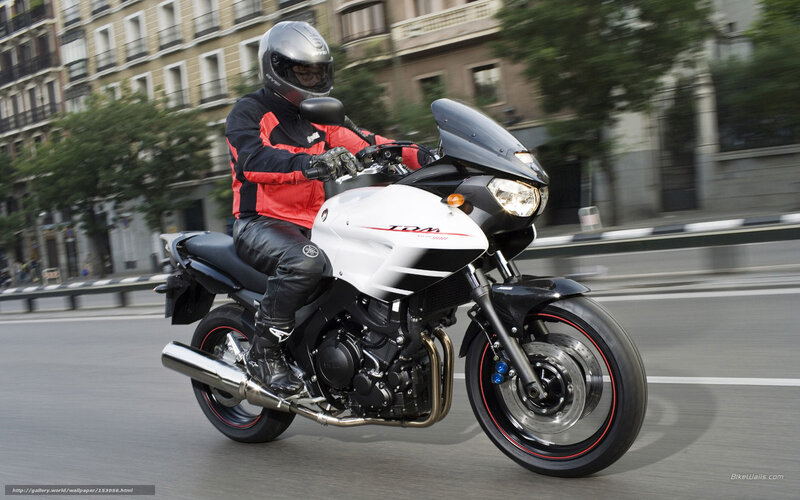 Motorcyclist on City Street — White, Dynamic