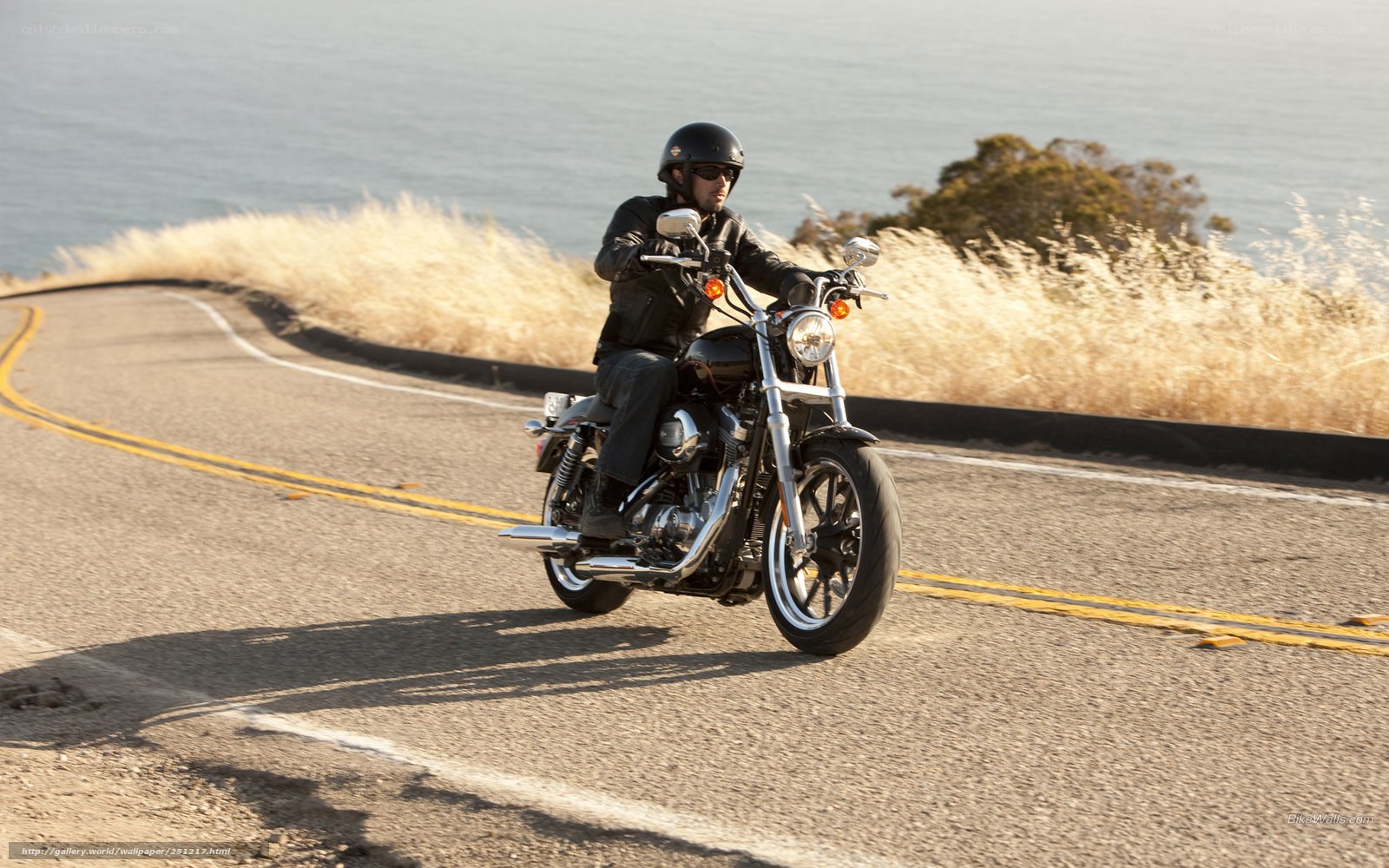 Motorcyclist on coastal road