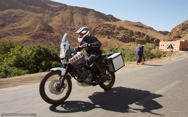 Motorcyclist on Desert Road — Brown, Arid, Afternoon