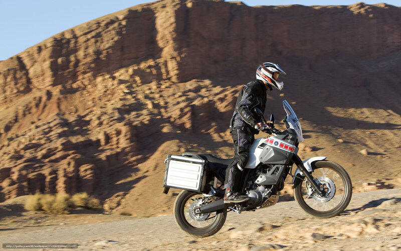 Motorcyclist on Desert Road — Brown