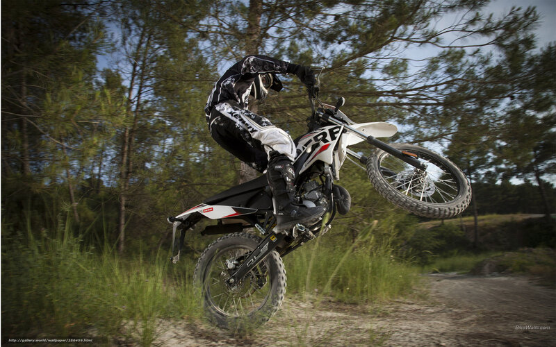 Motorcyclist on Dirt Bike — Black, Dynamic, Afternoon, Photograph, Trees