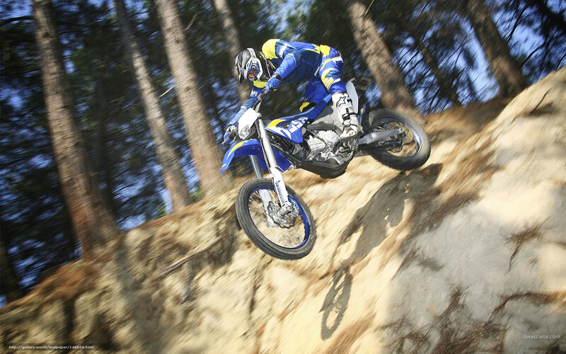 Motorcyclist on Dirt Bike — Blue, Dynamic, Afternoon, Photograph, Forest