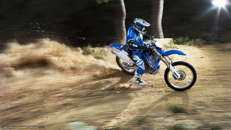 Motorcyclist on Dirt Bike — Blue, Dynamic, Night, Photograph, Trees