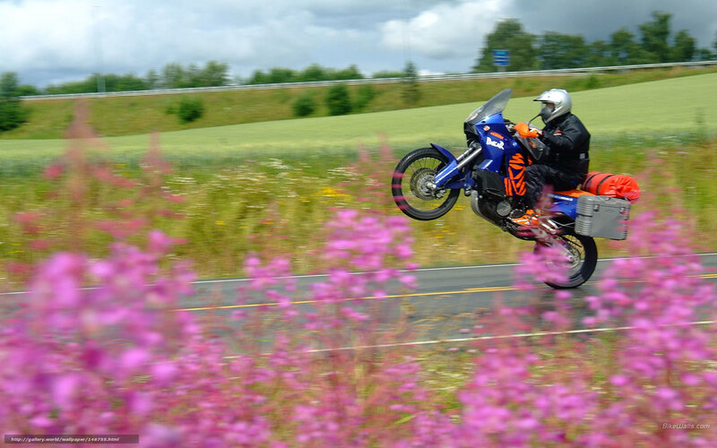 Motorcyclist on Dirt Bike — Blue, Dynamic, Summer