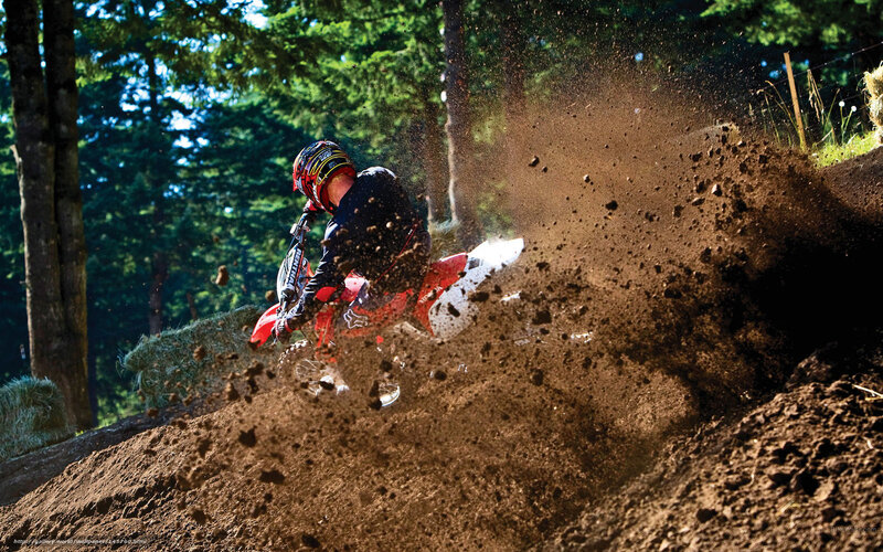 Motorcyclist on Dirt Bike — Brown, Dynamic, Afternoon, Photograph, Trees