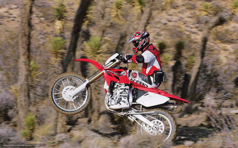 Motorcyclist on Dirt Bike — Red, Dynamic, Afternoon