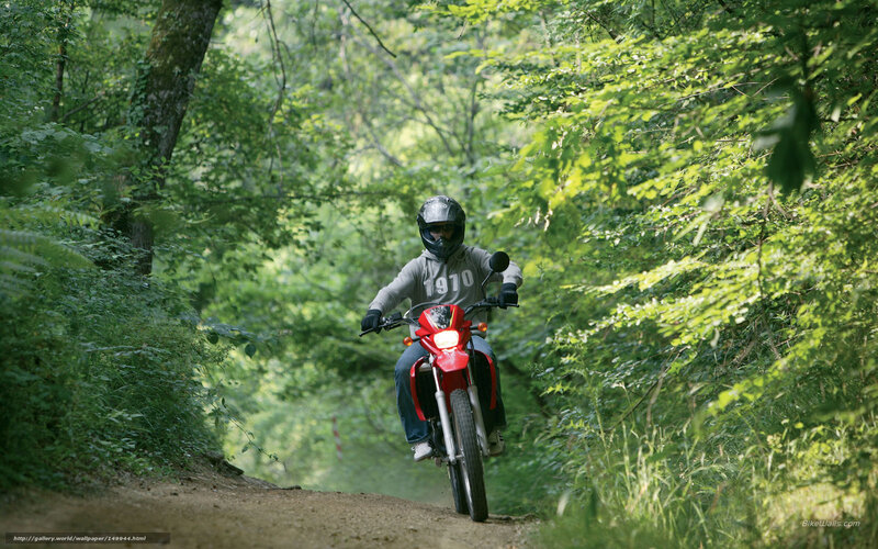 Motorcyclist on Dirt Path — Green, Outdoor