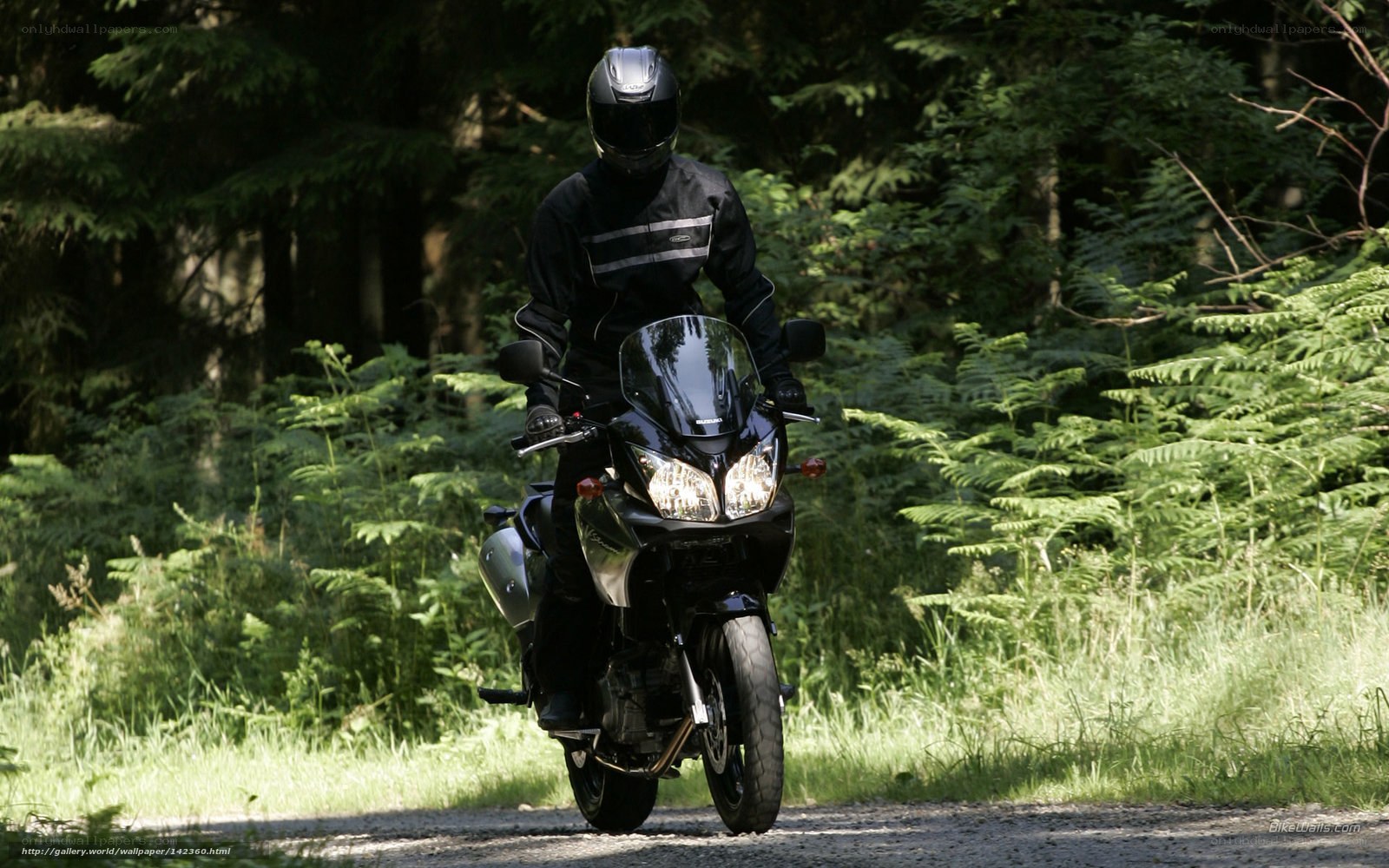 Motorcyclist on forest path