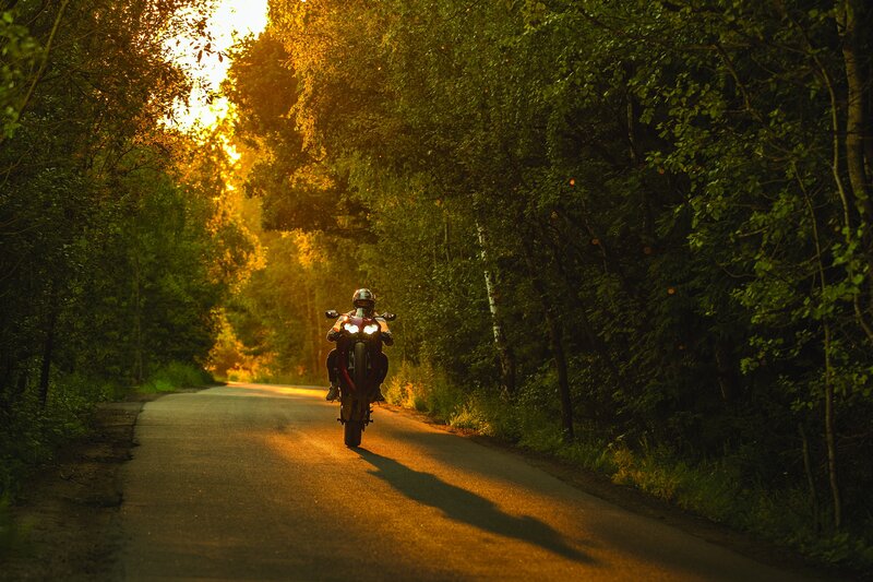 Motorcyclist on Forest Road — Green, Dramatic