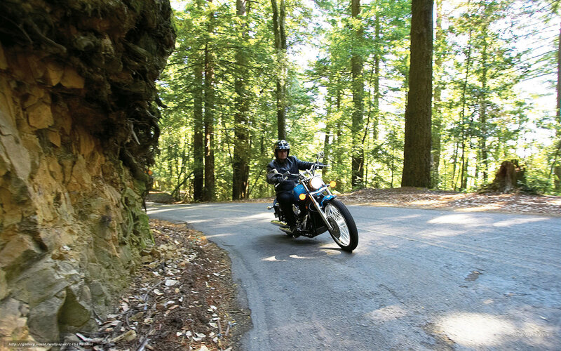 Motorcyclist on Forest Road — Green