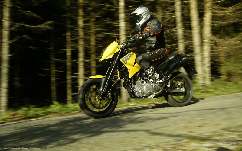 Motorcyclist on Forest Road — Yellow