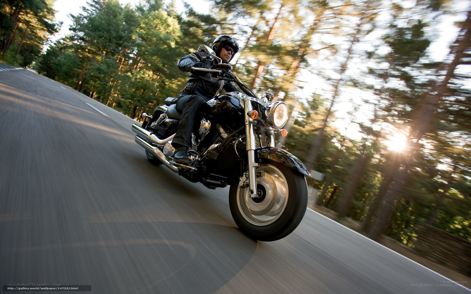 Motorcyclist on forest road