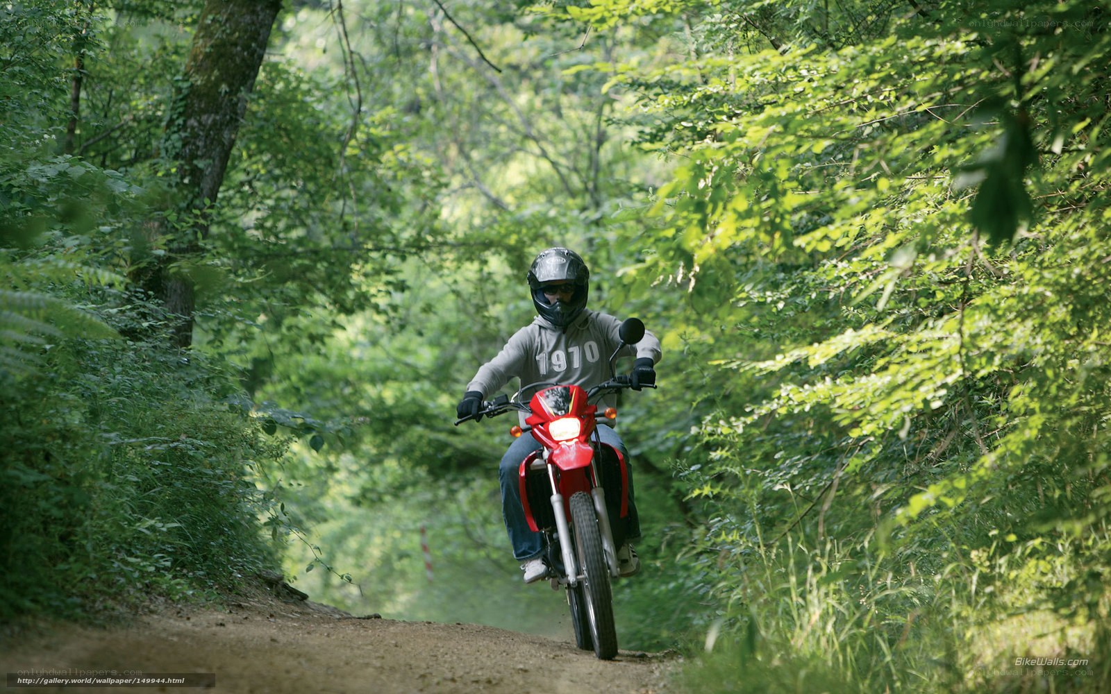 Motorcyclist on forest trail