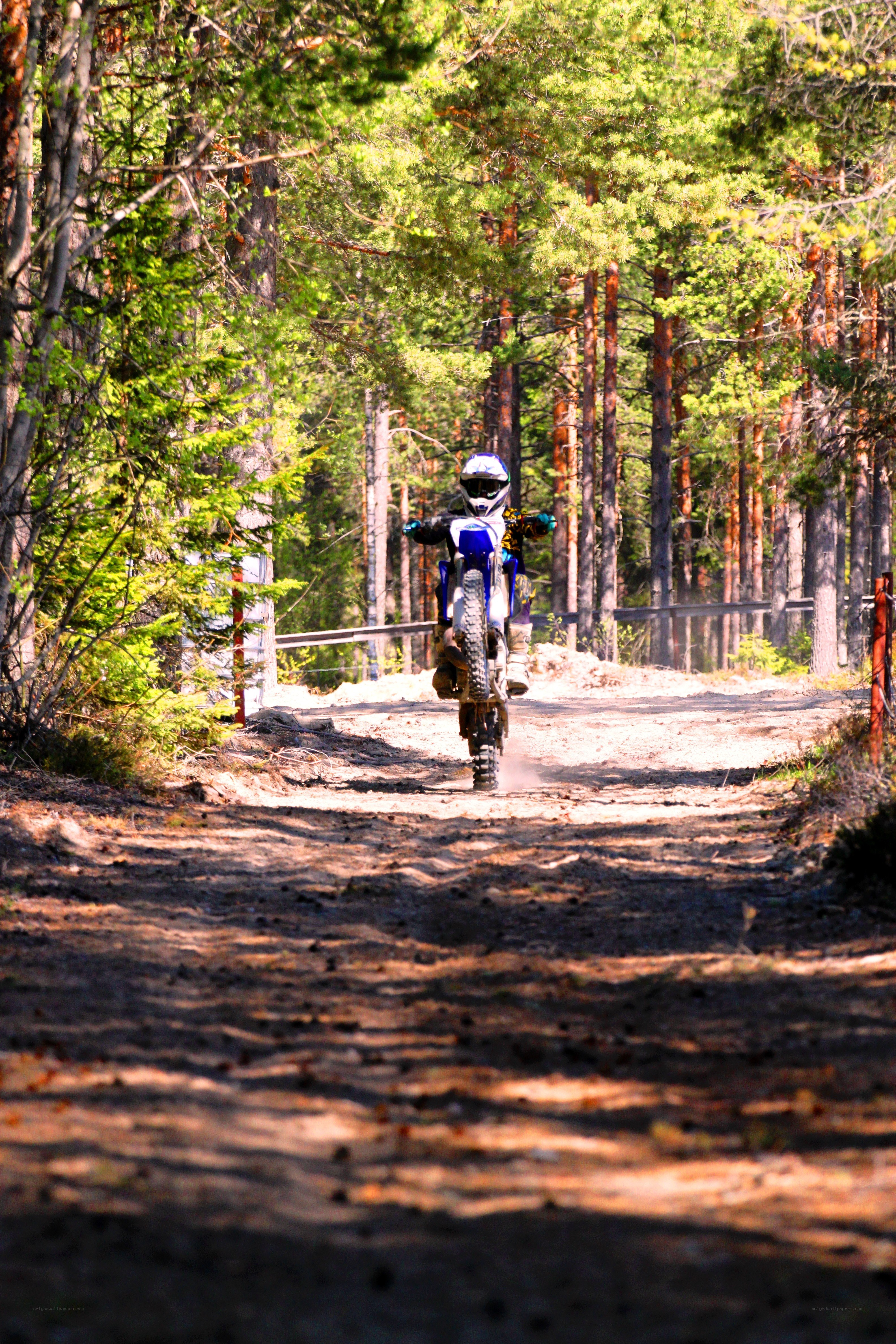 Motorcyclist on forest trail