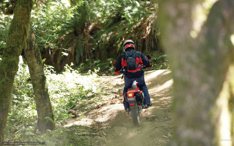 Motorcyclist on Forest Trail — Green