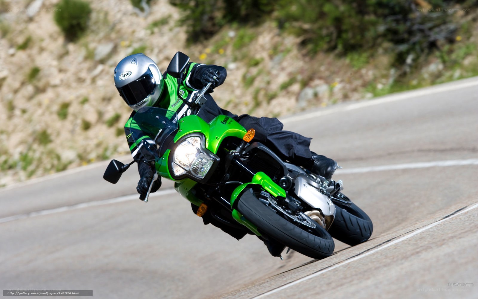 motorcyclist on green bike