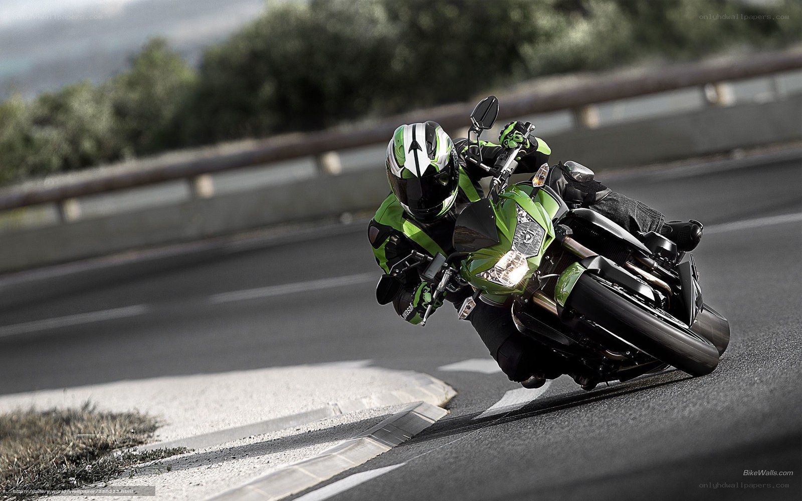 motorcyclist on green bike