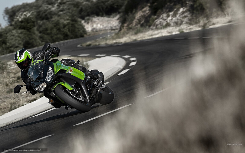 Motorcyclist on Green Bike — Dynamic, Afternoon, Photograph, Road, Helmet, Trees