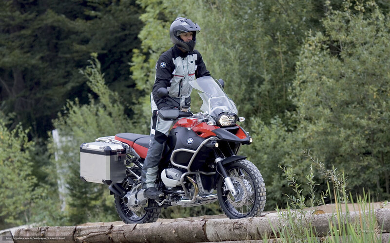 Motorcyclist on Log